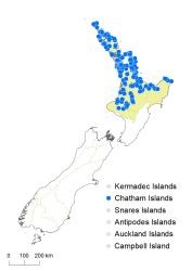 Lycopodium deuterodensum distribution map based on databased records at AK, CHR & WELT.
 Image: K.Boardman © Landcare Research 2019 CC BY 4.0